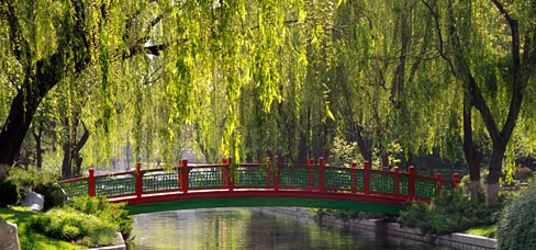 Peking